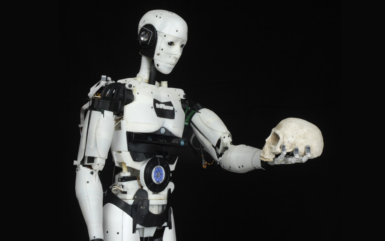 inmoov